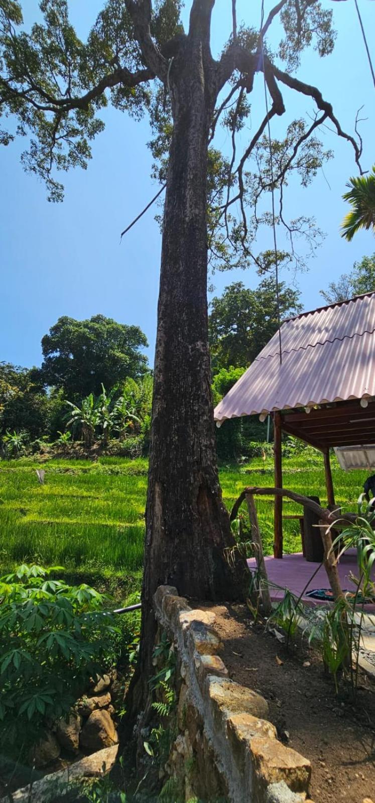 Villa Kingdom Of Rustic Ella Extérieur photo